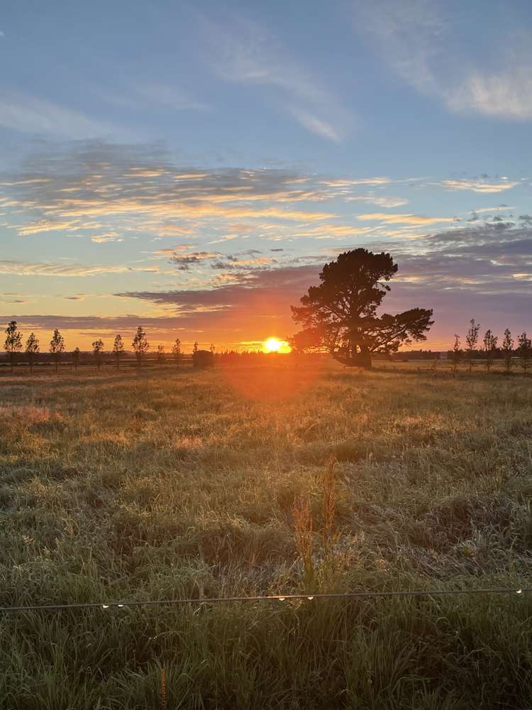 937 German Road Oxford_10