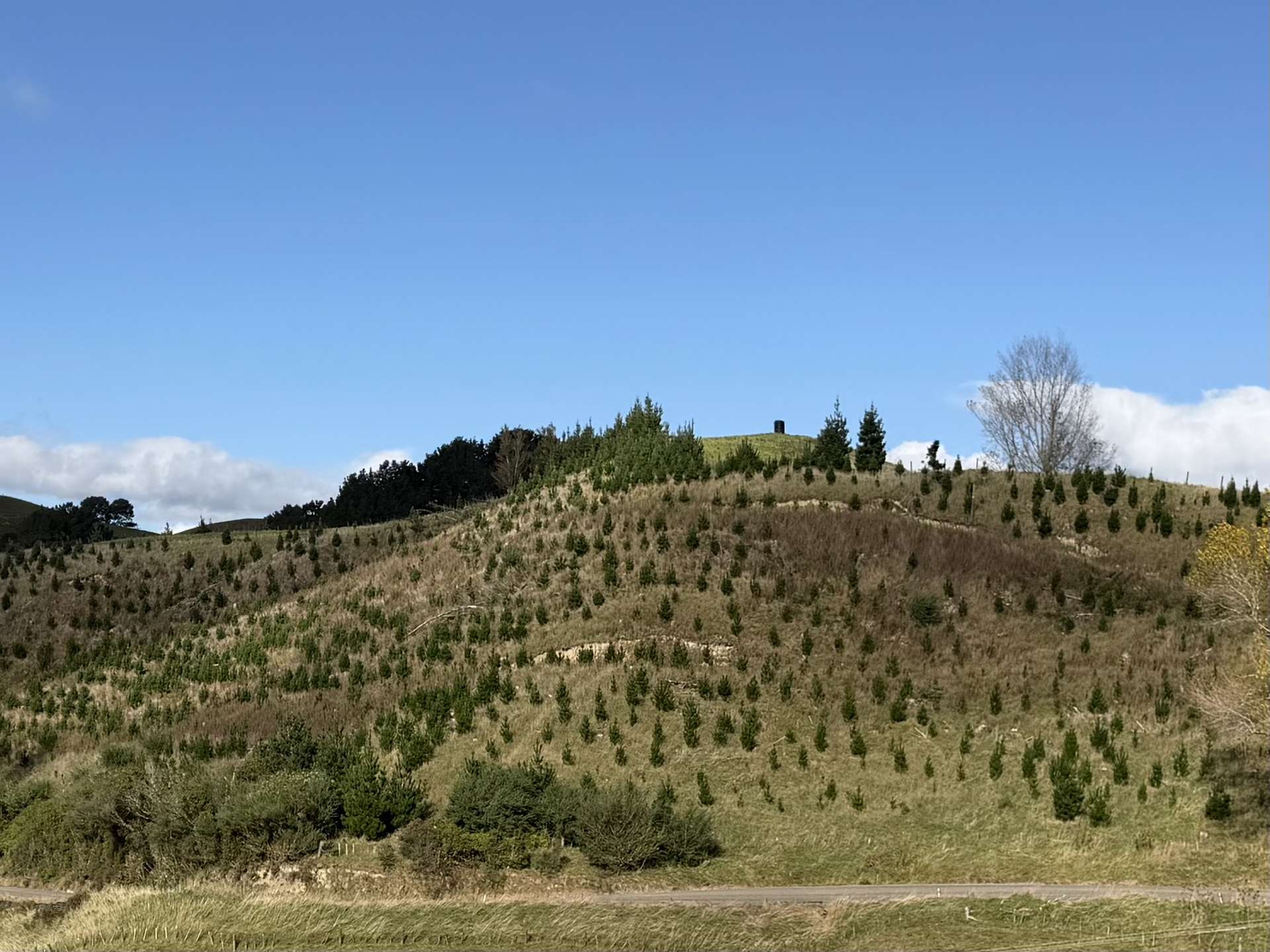 300 Ngapaeruru Road Dannevirke_0