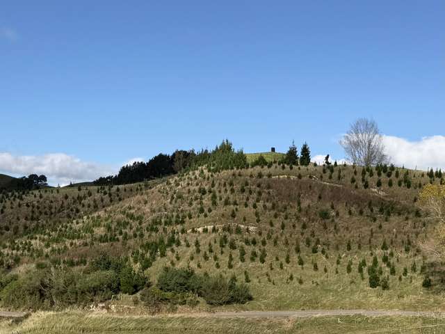 Forestry Investment or Get-Away