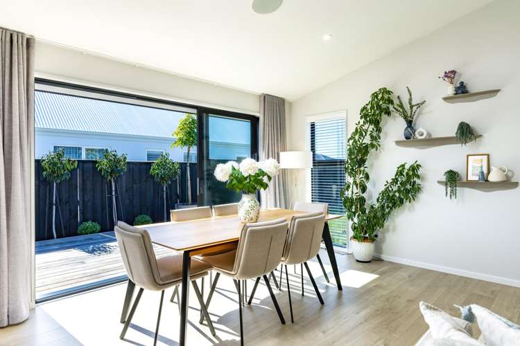 33 Nikau Drive Redwoodtown_12