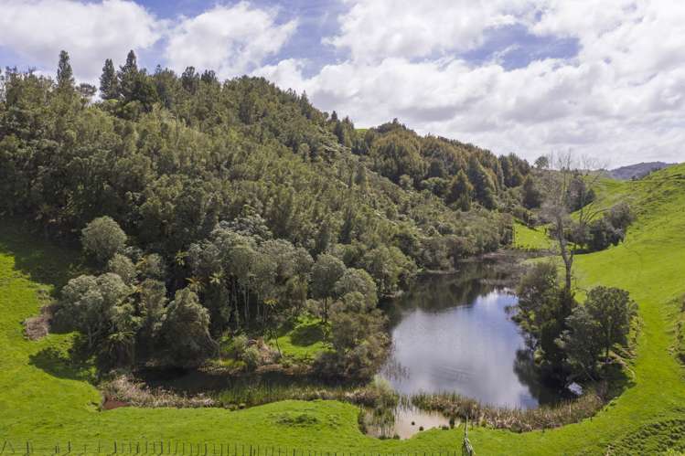 2140 State Highway 4 Aria_14