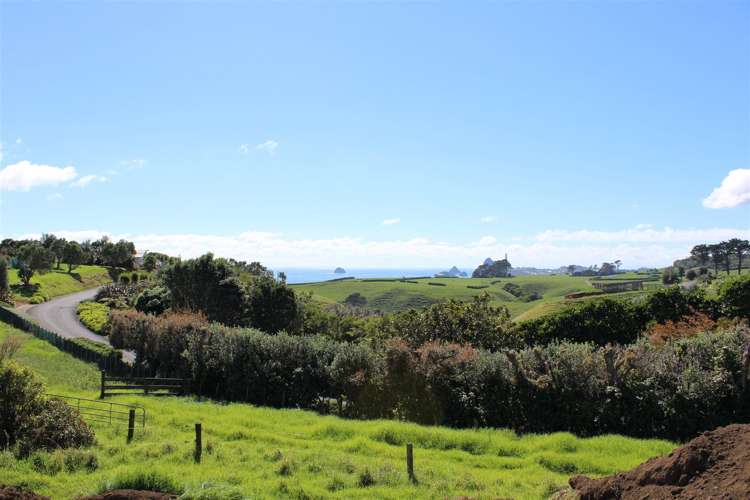 29 Washer Road Omata_10