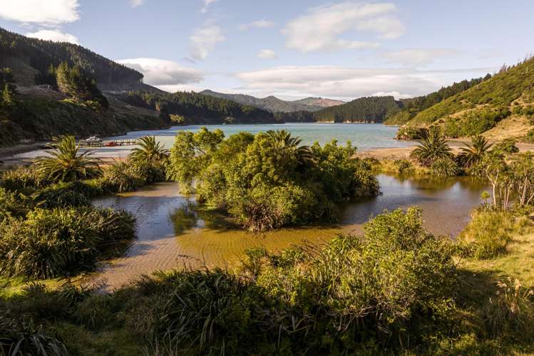 528 Oyster Bay Marlborough Sounds_52