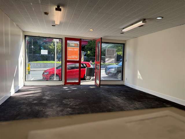 138 Vivian Street Te Aro_1