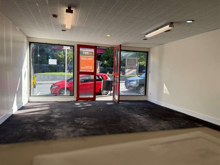 138 Vivian Street Te Aro_1