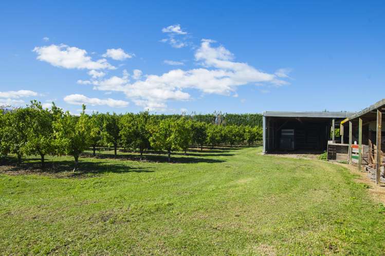 75 Brown Road Ormond_18