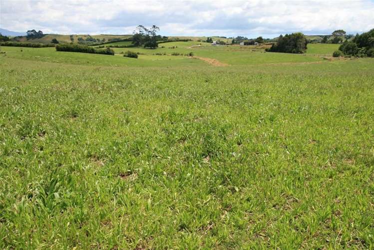 248 Bird Road Stratford_5