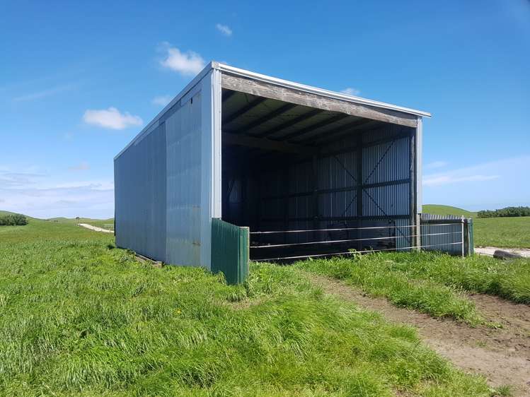 139 Bayly Road Warea_17