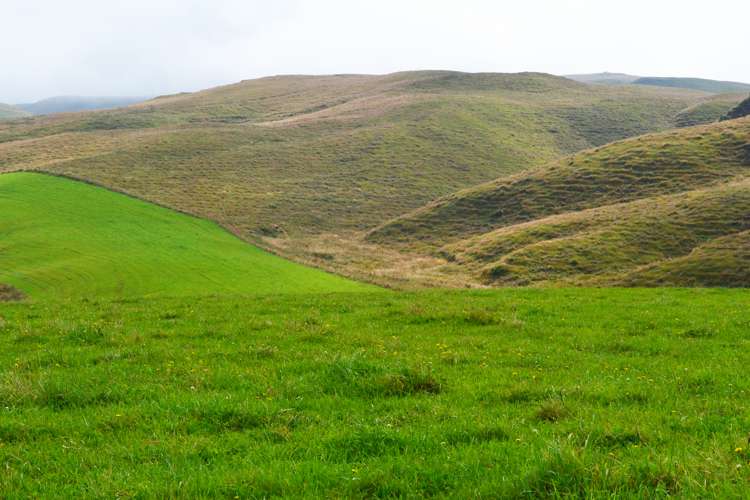 Fuchsia Creek Road Waitaki_8