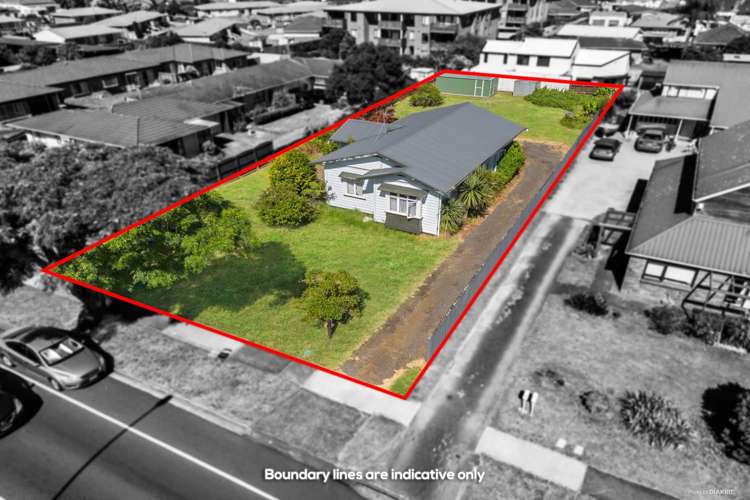 110 Edinburgh Street Pukekohe_1