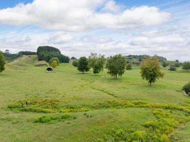 Taotaoroa Road Matamata_1