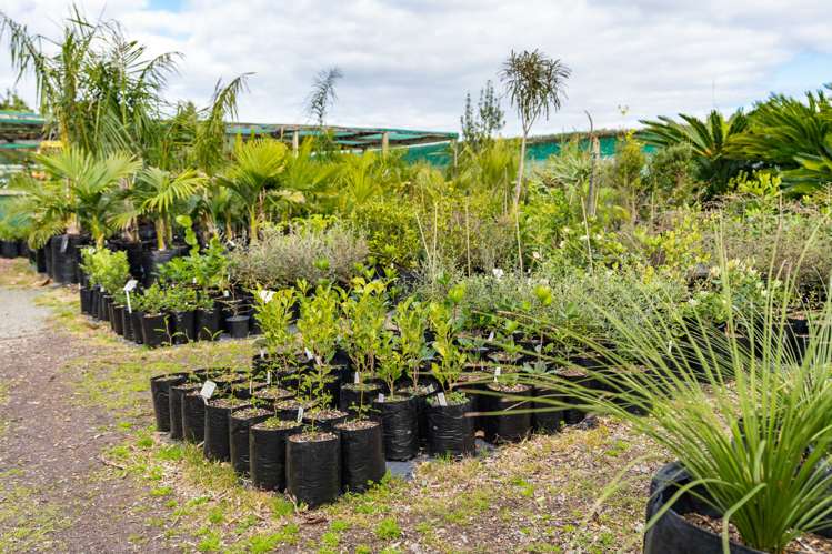 656 One Tree Point Road Ruakaka_15