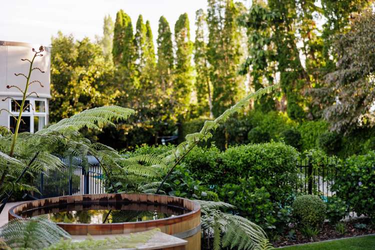 15 Anson Avenue Fairfield_14