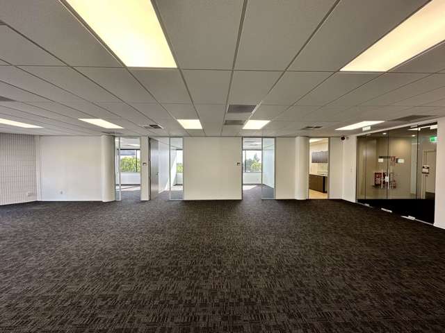 Suite 2/172 Ponsonby Road Ponsonby_2