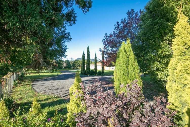 297 Bellevue Road Matangi_6