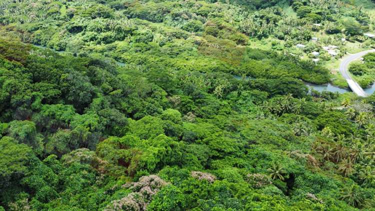 Address withheld Savusavu_10