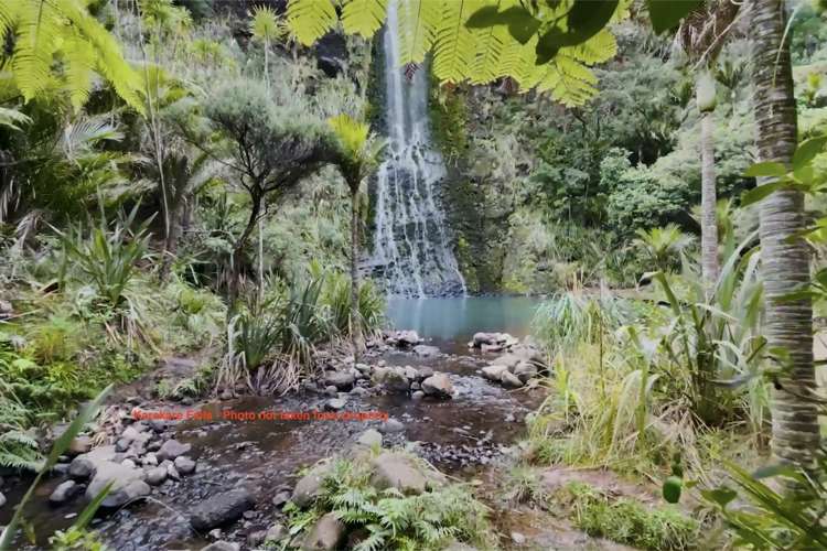 11 Karekare Road Karekare_14