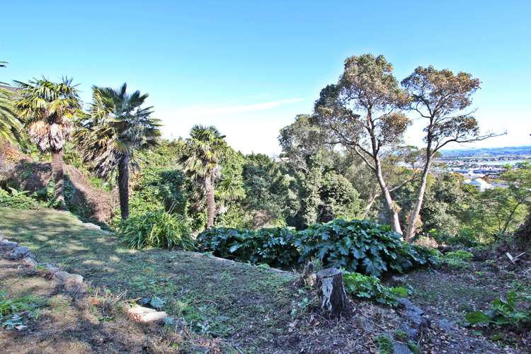 24a Roslyn Road Mount Wellington_6