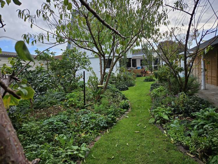 38 Higgins Street Marewa_22