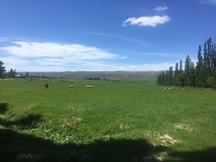 410 Ngapuna Road Middlemarch_14