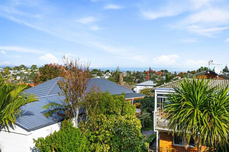 80C Golf Road New Lynn_12