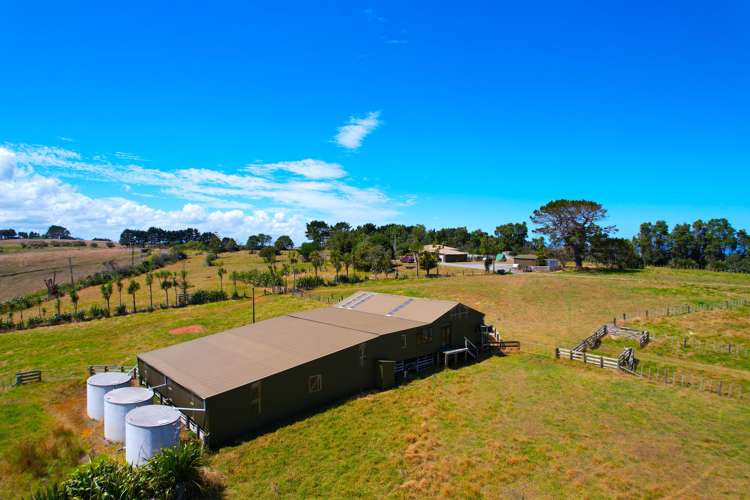 413 Monteith Road Dargaville Surrounds_24