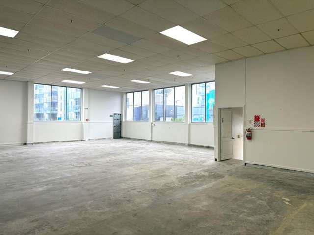 14 Virginia Avenue Eden Terrace_3