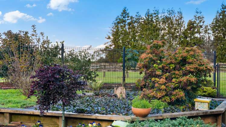 326a Patumahoe Road Pukekohe_29