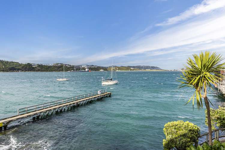 13/305 Evans Bay Parade Hataitai_15