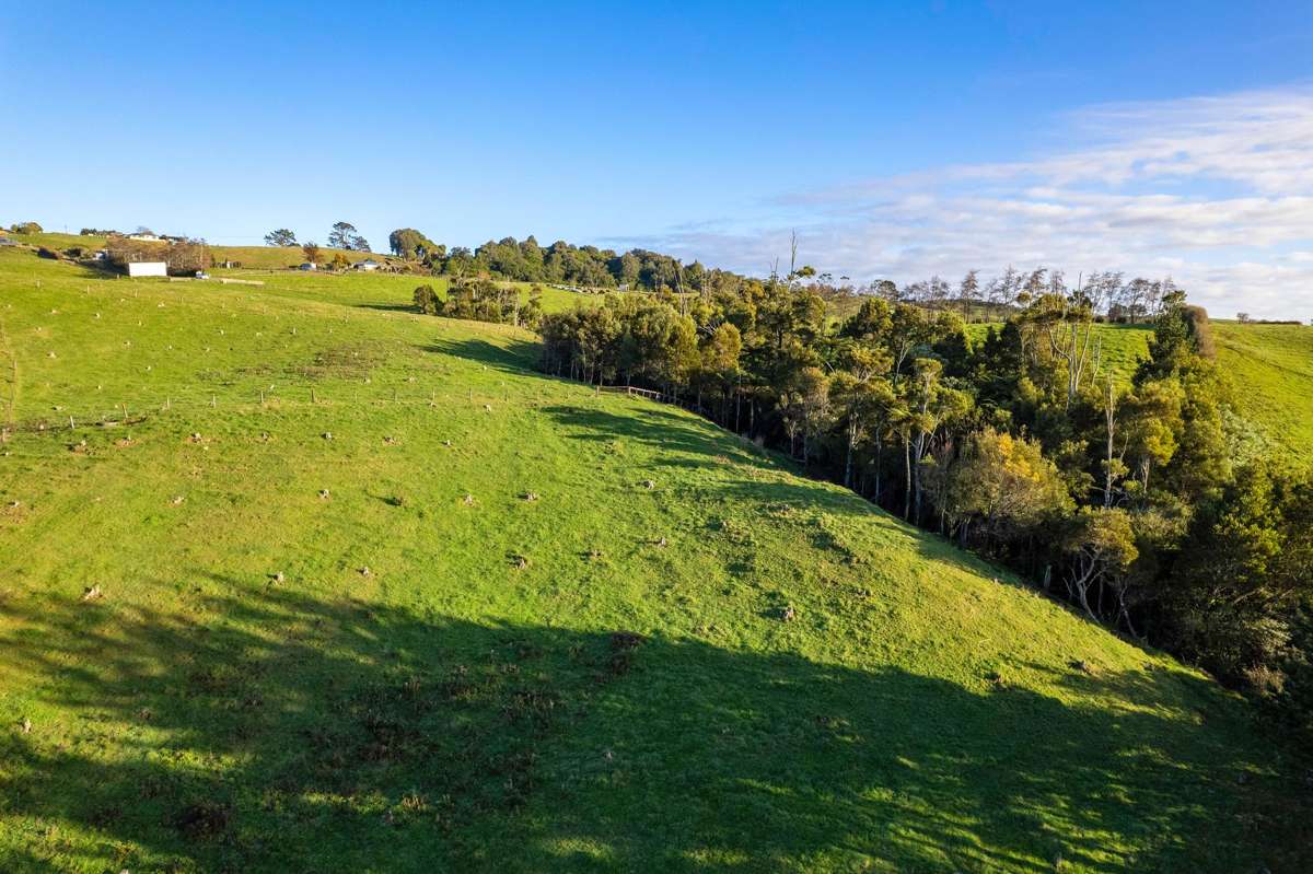 575a Hursthouse Road_4