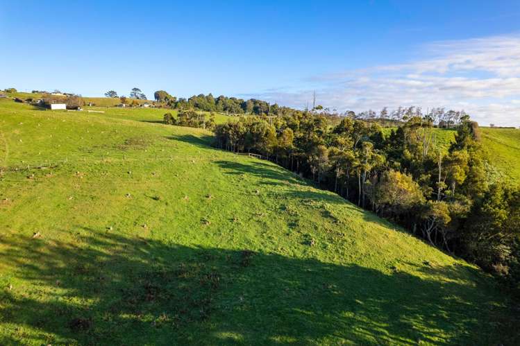 575a Hursthouse Road Tarurutangi_8