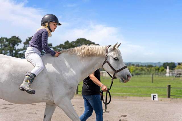 324 Norfolk Road Carterton_3