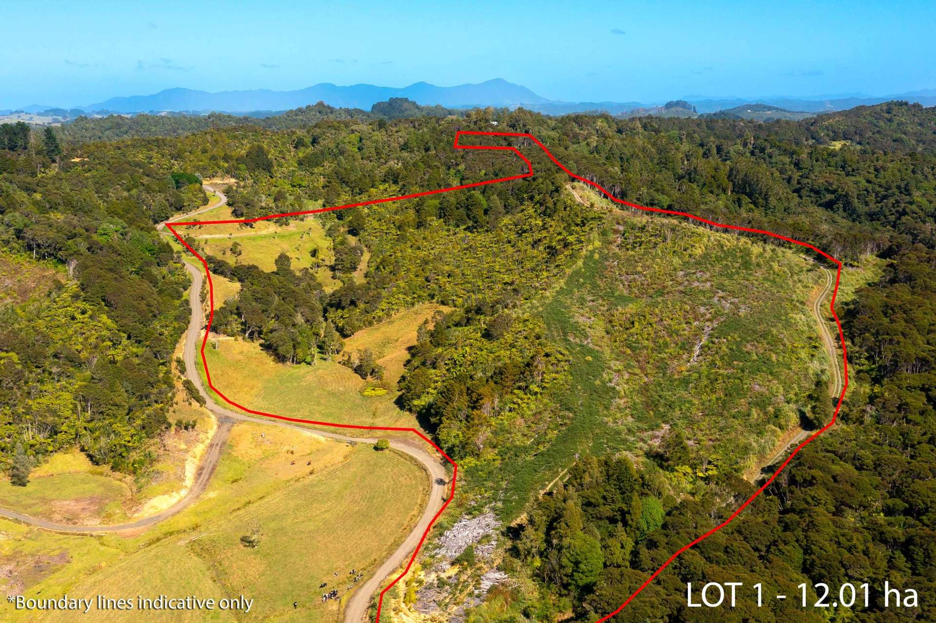 542 Duddy Road Rawene_0