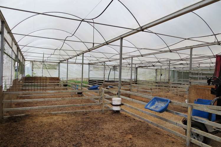 300 Seddon Road Waitoa_17