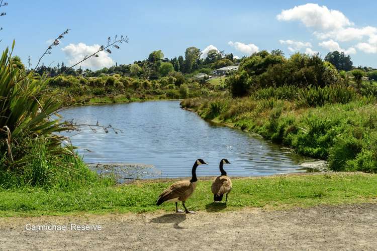 57 St Pauls Drive Brookfield_25