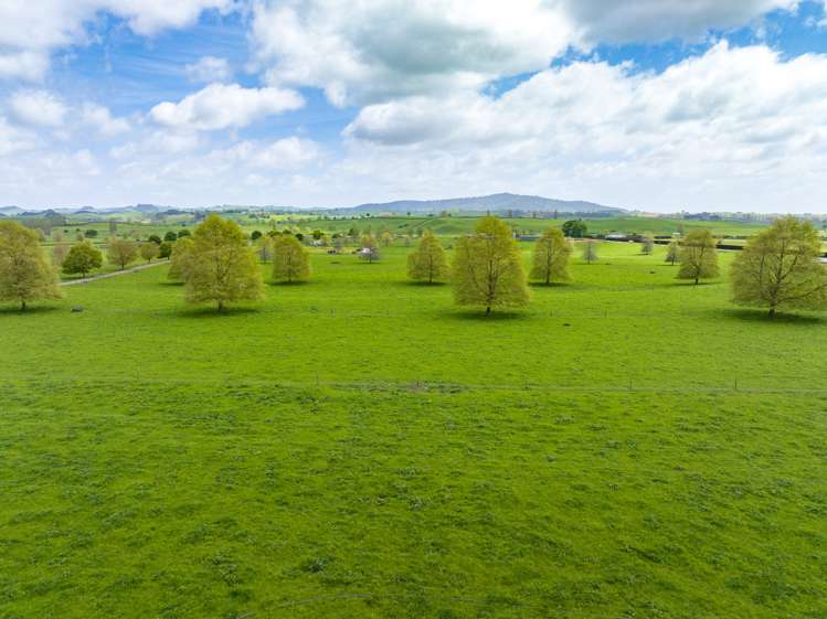 18 Pond Road Matamata_14