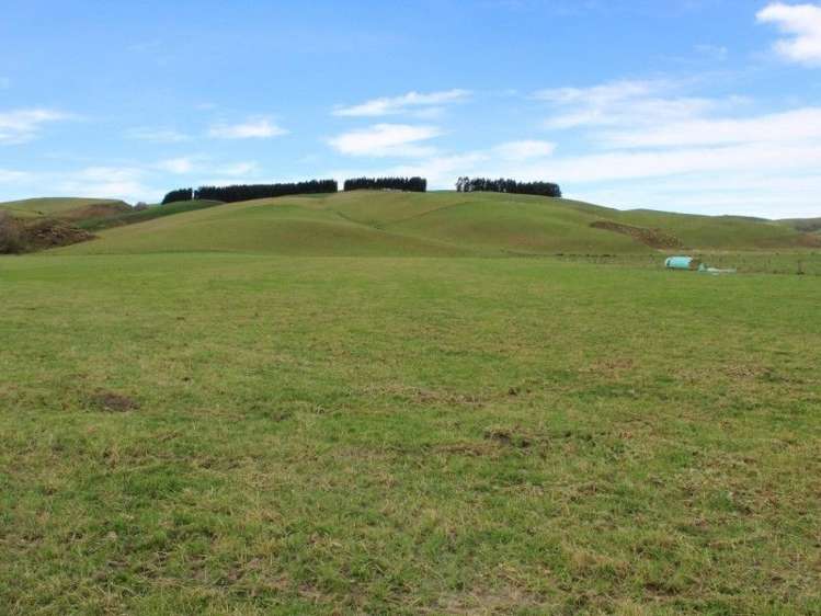 1763 Moa Flat Road West Otago Surrounds_7