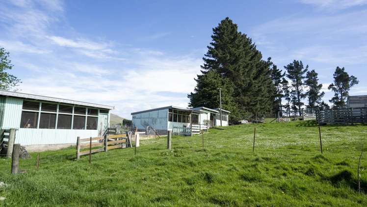 42 Falcon Street Palmerston_20