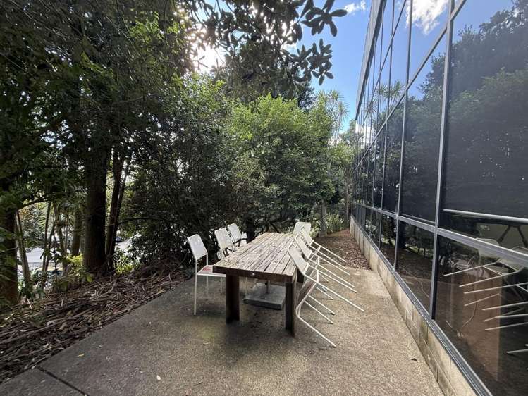 483 Rosebank Road Avondale_15
