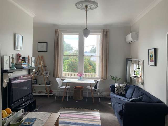 3 Mckenzie Terrace Te Aro_2