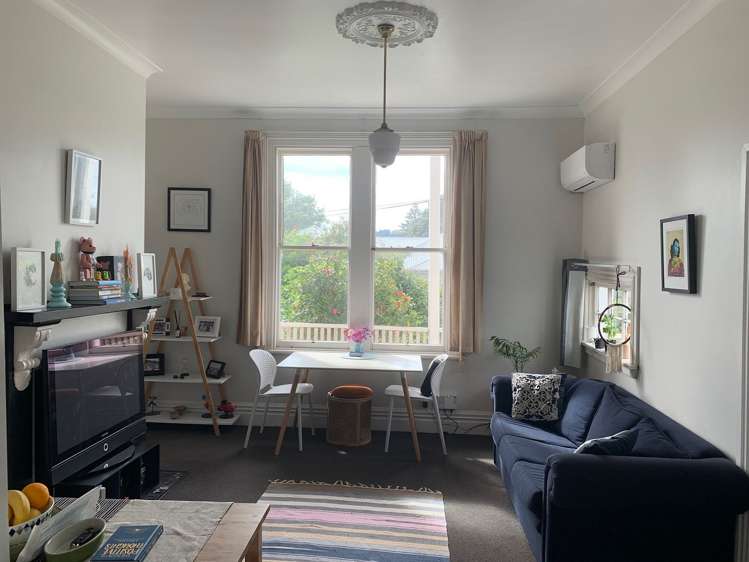 3 Mckenzie Terrace Te Aro_2