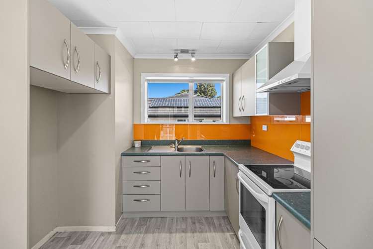 20 Huatoki Street Vogeltown_8