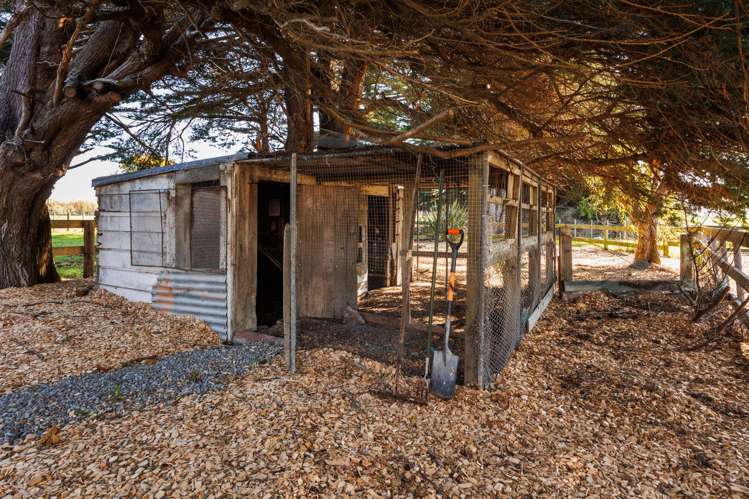 292 Kairanga Bunnythorpe Road Bunnythorpe_46
