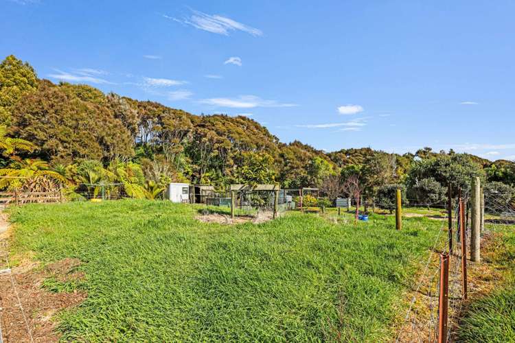 236 Alma Road Westport_17