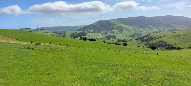 1777 Papatowai Highway Papatowai/Pounawea_2