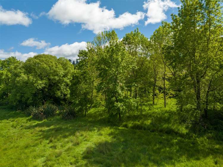 237 Win Valley Road Dovedale_19