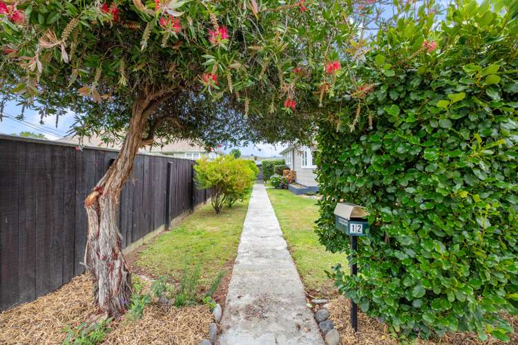 12 Graham Street Blenheim Central_16