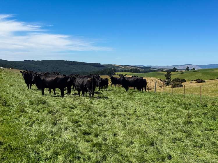 759 Waitahuna Gully Road Lawrence_3