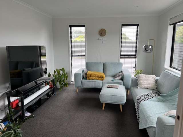 529 Mangorei Road Merrilands_4