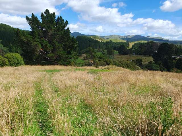 Bare land lifestyle with views.